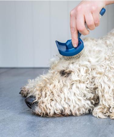 Mikki Puppy Stainless Steel Comb & Slicker Brush Set for Doodles & Cockapoos - Blue/Grey Small Grooming Kit - Buy Online on SooperMarket.com