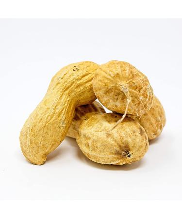 Premium USA Grown Raw Peanuts in Shell for Squirrels - 2.5lb | Unsalted & Jumbo | Boiled Virginia Peanuts | Pack of 1 - Buy Online on SooperMarket.com