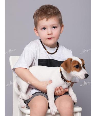 Amber Necklace for Dogs & Cats - Natural Tick & Flea Protection | Baltic Secret - Buy Online on SooperMarket.com