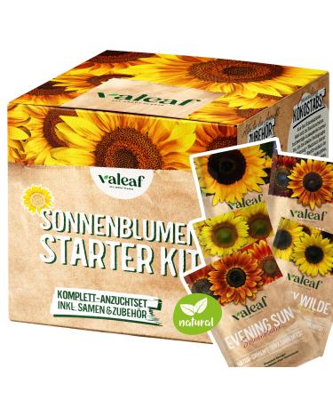 valeaf Sunflower Starter Kit (Sunflowers)