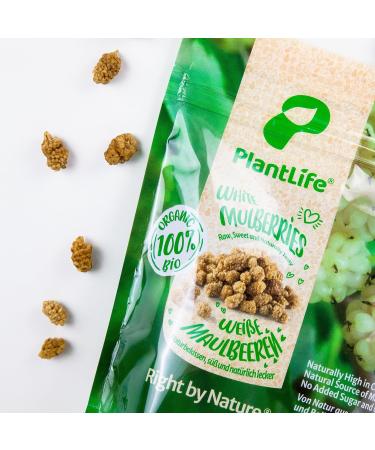 PlantLife White Organic Mulberries 1kg Raw Sun-Dried Unsweetened and Unsulphured 100% Recyclable - Buy Online on SooperMarket.com