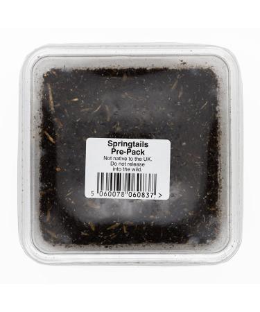 Livefoods4u Live Springtails - Perfect for bioactive set ups (Pre Pack)