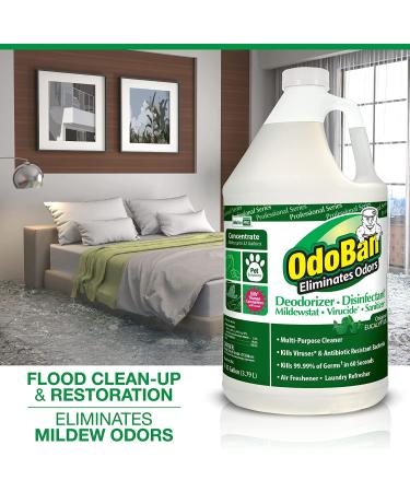 OdoBan Professional 1 Gal Eucalyptus Odor Eliminator & 1 Gal BioLaundry Enzyme Detergent - 2 Pack - Buy Online on SooperMarket.com