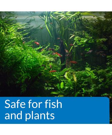 API pH DOWN Freshwater Aquarium Water pH Reducing Solution 118 ml Bottle pH DOWN Single - Buy Online on SooperMarket.com