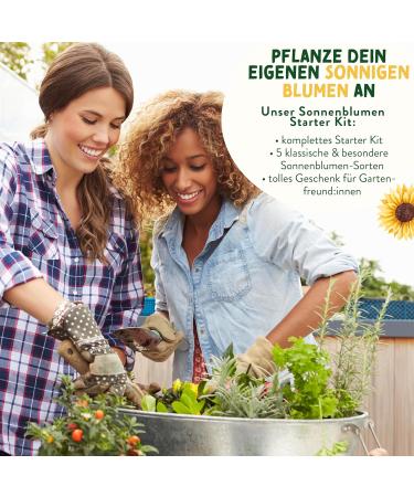 valeaf Sunflower Starter Kit (Sunflowers) - Buy Online on SooperMarket.com