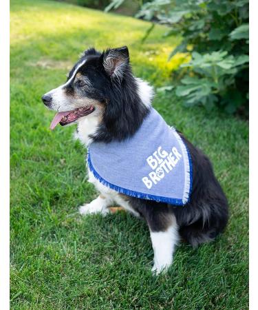 Blue Big Brother Dog Bandana for Pregnancy Announcement - Pet Photo Prop & Handkerchief for Medium to Large Dogs - Buy Online on SooperMarket.com