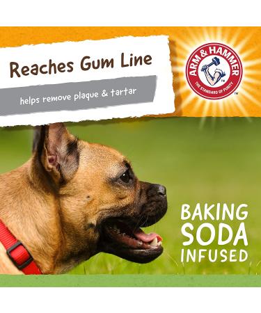 Arm & Hammer Treadz Gator Dental Toy for Strong Chewers - Large Size - Buy Online on SooperMarket.com