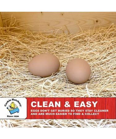 Cackle Hatchery Laying Hen Nest Box Pads - 13x13 (6 Pack) | Premium Quality - Buy Online on SooperMarket.com