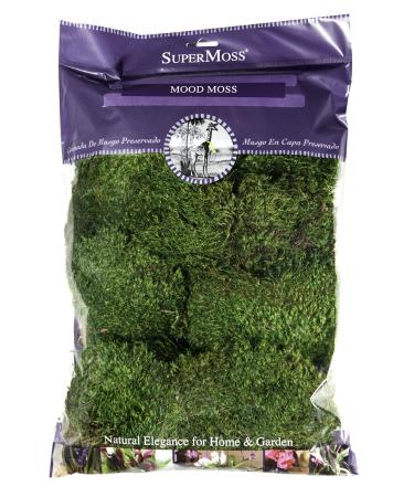 Super Moss Mood Moss Preserved Natural Green 1200cuin, Fresh Green, 200 in3 Bag (Appx. 8oz) (21539) Fresh Green 200 in3 Bag (Appx. 8oz)