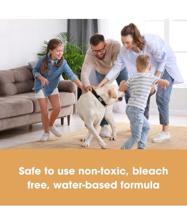 Furniture Clinic Mould Remover Spray - Kills, Removes & Prevents Mould on Leather, Fabric & Wood - 500ml - Buy Online on SooperMarket.com