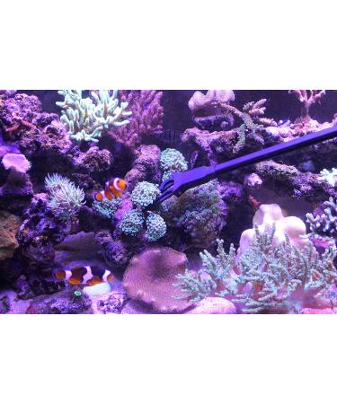 AquaticHI 27 inch Aquarium Tongs - 100% Reef Safe | Multi Purpose Fresh and Saltwater Fish Tank Tool for Clip Plants, Spot Feed Fish and Coral | Keep Hands Dry - Buy Online on SooperMarket.com