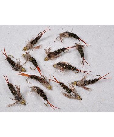 Region Fishing 20 Incher Stonefly Nymph Fly | Tungsten Bead | Mustad Signature Hooks | Size 14 - 12 Pack - Buy Online on SooperMarket.com