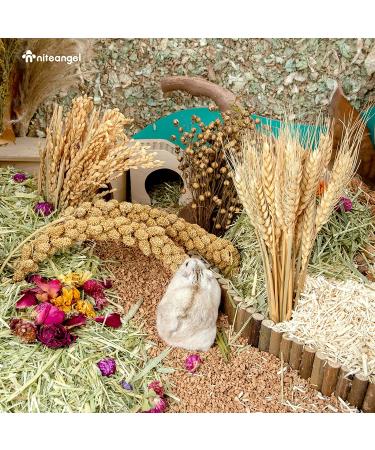 Niteangel Natural Harvest Wind Flower & Herb Hamster Bedding - Habitat Decor for Small Pets - Buy Online on SooperMarket.com