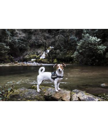 K9 Powerharness 3XS/Baby 1 - Camouflage Dog Harness for Optimal Comfort & Style | International Shipping Available - Buy Online on SooperMarket.com