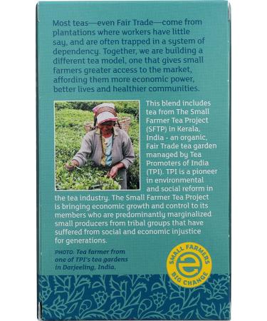Equal Exchange Organic Irish Breakfast Black Tea - 20 Bags (1.41 oz) | Fair Trade - Buy Online on SooperMarket.com