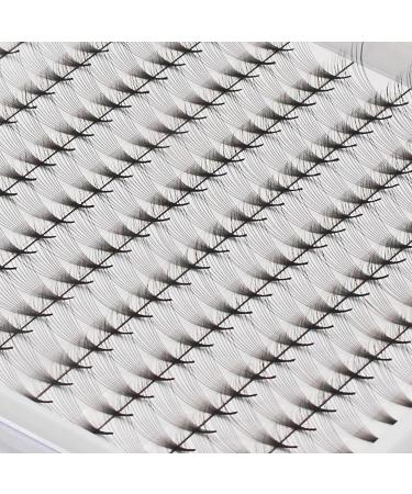 Large Tray Dedila Long Stem D Curl 10D Volume Premade Fans - Mixed Lengths 8-14mm | Premium Individual False Eyelashes Extensions - Buy Online on SooperMarket.com