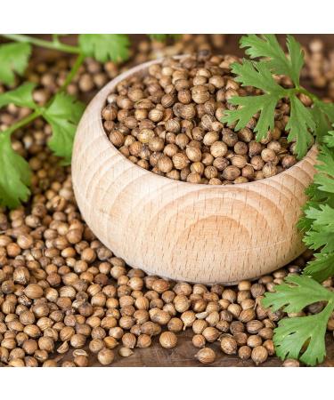 Coriander Seeds Whole Coriander 100% Natural Coriander Seeds Without additives Vegan (250g) 250 GR - Buy Online on SooperMarket.com