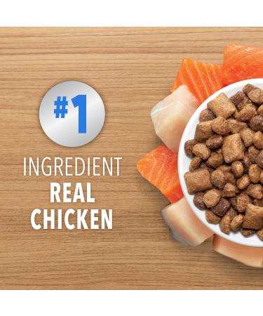 IAMS PROACTIVE HEALTH HEALTHY ENJOYMENT Adult Dry Cat Food Chicken & Salmon Recipe 2.72kg Bag 2.72 kg (Pack of 1) - Buy Online on SooperMarket.com