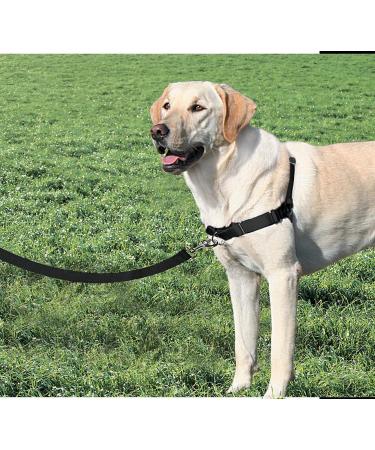 PetSafe Easy Walk Harness - Anti-Pull Dog Harness for Small Dogs Reduces Choking & Coughing Includes 1.8M Leash - Black - Buy Online on SooperMarket.com