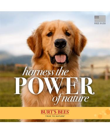 Burt's Bees Natural Hypoallergenic Dog Shampoo with Shea Butter and Honey - 16oz | For All Dogs and Puppies with Dry or Sensitive Skin | Made in USA - Buy Online on SooperMarket.com