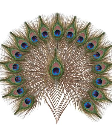 10pcs 10-12 inch Peacock Feathers Decoration Crafts Bulk Multicolored Natural Peacock Feathers for DIY Craft  Easter Decoration Flower Arrangement and Home Decoration 10-12Inch-10pcs