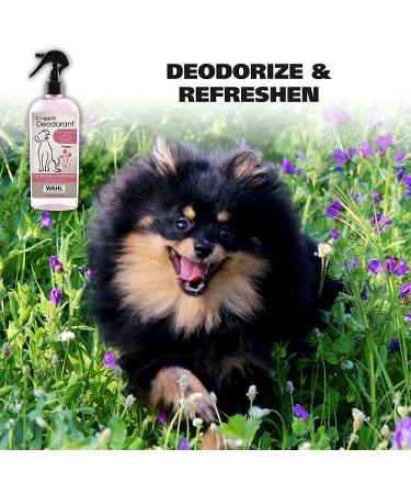 Wahl Cornflower Aloe Pet Deodorant 8 oz - Refreshes & Deodorizes All Dogs - Clean Fresh Scent - Model 820009A - Buy Online on SooperMarket.com