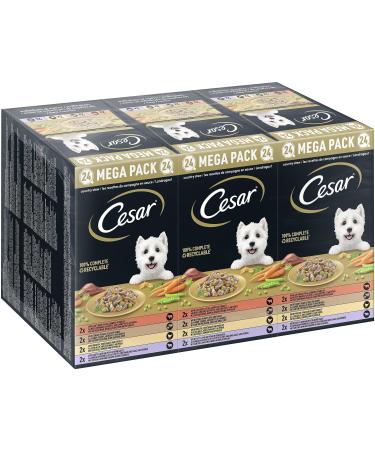 Cesar Megapack Landragout - Dog water food in the shell - 4 varieties in multipack - 24 x 150g megapack Landragout 3.6 kg (1 Pack)
