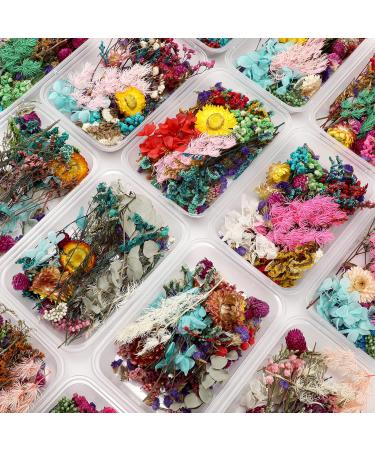 Coume 6 Boxes Dried Flowers for Resin Mixed Pressed Dry Flower Leaves Multiple Natural Real Mini Crafts Colorful Handmade Plants Soap DIY Jewelry Pendant Floral Decors