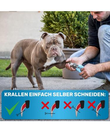 Buy Bluepet Krallensch n Adjustable Claw Scissors for Large Dogs & Cats - Extra Strong Nail Cutter with File (Size M-L) - Ideal for Tough Claws - Buy Online on SooperMarket.com