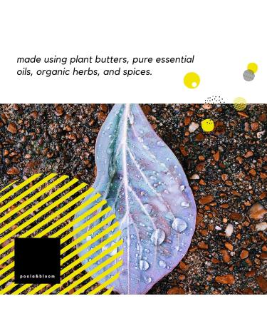Men's Shower Gel Collection - Natural Black Detox Soap | Palm Oil-Free Solid Gel for Nourishing Care & Cleansing - Buy Online on SooperMarket.com