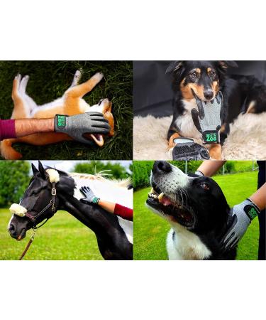 DR Zoo Size M Grooming Gloves for Dogs Cats & Horses | Best Pet Grooming Tools - International Shipping - Buy Online on SooperMarket.com