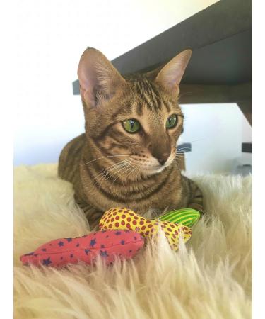 YEOWWW catnip toys for cats - organic very strong catnip fish stinkies sardines cat toys with catnip pack of 3 colourful patterns - 7.5cm long - Buy Online on SooperMarket.com