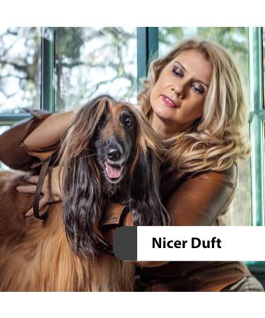 Jack & the Tub Dog Shampoo 500ml Caribbean Breeze - Black Edition | Moisturizing Conditioner & Coconut Scented Dog Care - Buy Online on SooperMarket.com