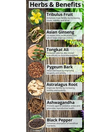 Happy Healthy Hippie Positively Pregnant for Dads - Premium Male Fertility Aid with Tribulus Terrestris, Ginseng, and Ashwagandha Extract - 60 Capsules - Buy Online on SooperMarket.com