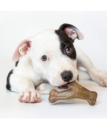 Benebone Puppy Dog Chew Toy - Made in USA Tiny 2-Pack - Dental Chew/Wishbone for Modest Chewers - Buy Online on SooperMarket.com