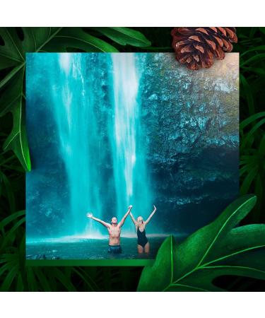 Axe Shower Gel Wild Mojito & Cedarwood - Long-Lasting Freshness & Fragrance (250ml 3-Pack) - Dermatologically Tested - Buy Online on SooperMarket.com