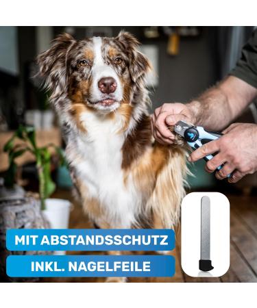Bluepet Krallensch n Profi Claw Scissors for Dogs & Cats | Safe Nail Trimming with Spacers | Includes Nail File - Bestseller Size M-L - Buy Online on SooperMarket.com