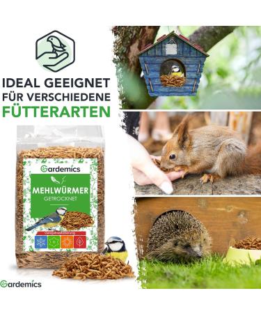 Gardemics Dried Mealworms 5L - Premium Insect Feed for Birds Fish Reptiles & More | 800g - Buy Online on SooperMarket.com