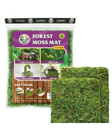 DUSPRO Moss Mat 2Pcs 13x9.5 Inches Self Stick Moss, Moss for Crafts, Decorative Moss for Moss Wall Decor, Sheet Moss, Green Moss for Crafts, Sheet Moss for Green Moss Wall, Wedding Party Decor