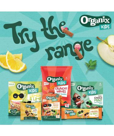 Organix Kids Red Berries & Apple Organic Smash Pouch 3+ Years 100 g (Pack of 6) - Buy Online on SooperMarket.com