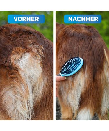 Bluepet Double-Decker 2-in-1 Dog Brush for Long & Short Hair - Perfect for Puppies & Cats - Ultimate Fur Care Tool - Buy Online on SooperMarket.com