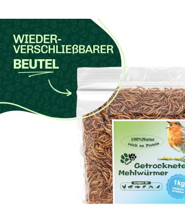 Blumixx Jan-Pet Premium Mealworms 2kg - Dried Bird Feed for Wild Birds Hedgehogs Squirrels Hamsters & Fish | All-Year Nutrition - Buy Online on SooperMarket.com