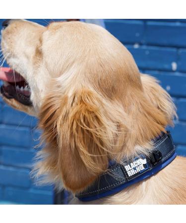 Black Rhino Comfort Collar - Super Soft Neoprene Dog Collar for All Breeds | Adjustable Reflective & Weatherproof | Medium Sports Blue/Gray - Buy Online on SooperMarket.com