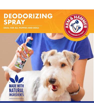 Arm & Hammer Super Deodorizing Spray for Dogs - Fresh Kiwi Blossom Scent - 6.7 oz | Odor Eliminator for All Dogs & Puppies - Buy Online on SooperMarket.com