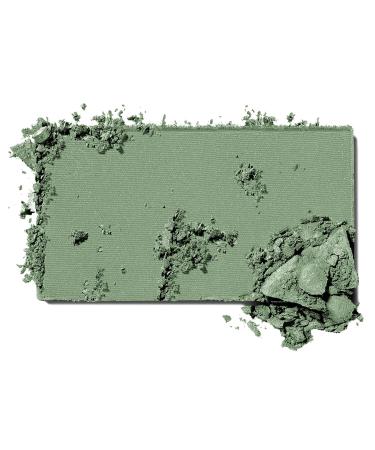 Maybelline New York Expert Wear Eyeshadow Forest Green - 0.09 Ounce - Buy Online on SooperMarket.com