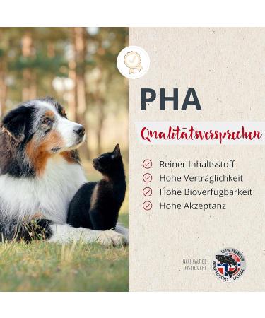 Buy PHA Salmon Oil for Dogs Cats & Horses | Sustainable Omega 3 & 6 Fatty Acids from Norway - 1L (1000ml) - Buy Online on SooperMarket.com