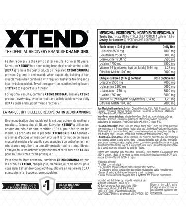 Scivation XTEND Original BCAA Powder - Sugar-Free Muscle Recovery with 7g BCAA 2.5g L-Glutamine - Glacial Grape 90 Servings Glacial Grape 90 Servings (Pack of 1) - Buy Online on SooperMarket.com