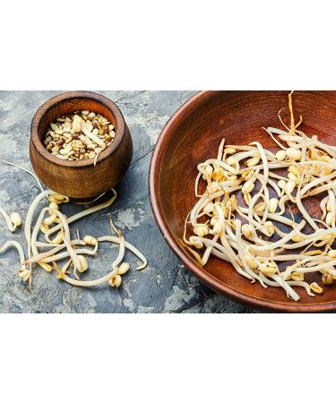 Organic Yellow Mung Dal 3 Pounds - Non-GMO Split Mung Beans, Vegan Ayurvedic Food, High Fiber & Protein, Great for Soup, Kitchari, Curries - 1 Pack - Buy Online on SooperMarket.com