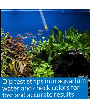 API Test Strips  for Variety of Water Parameters  Monitor Aquarium Water Quality and Help Prevent Invisible Water Problems That can be Harmful to Fish  Use Weekly and When Problems Appear 25 - Count Aquarium Water Testing - Buy Online on SooperMarket.com