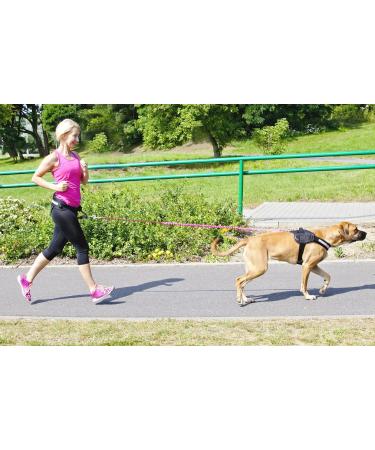 DINGO Canicross Belt 4-in-1 | Universal Adjustable Hands-Free Dog Walking Belt | Reflective Multifunctional | Running Sports Jogging Training | Black Waist Belt (12780-2) - Buy Online on SooperMarket.com
